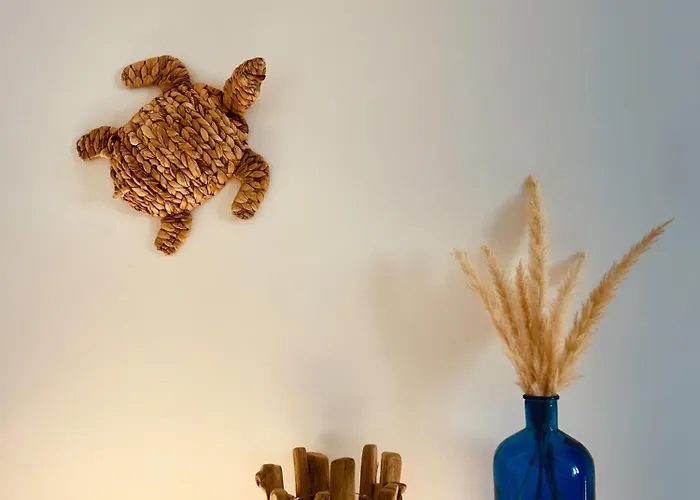 Buon Vento Vignacastrisi