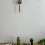 Buon Vento