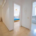 فيلة Buon Vento *