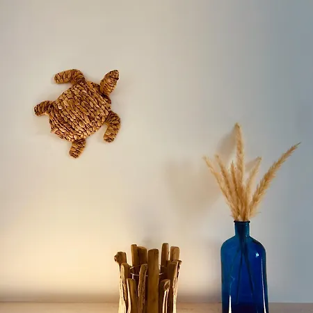 Buon Vento 비냐카스트리시