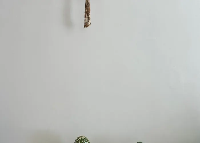 Buon Vento